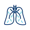 Lungs Icon