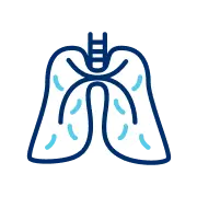 Lungs Icon