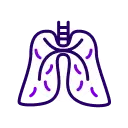 Lungs Icon