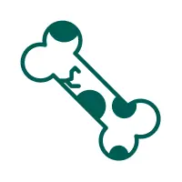 Icon of a damaged bone